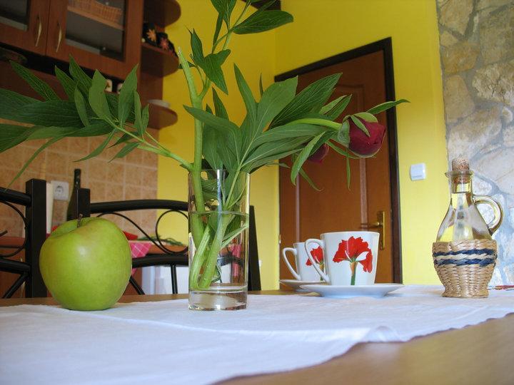 Apartment Tarski Konaci Mitrovac Exterior photo