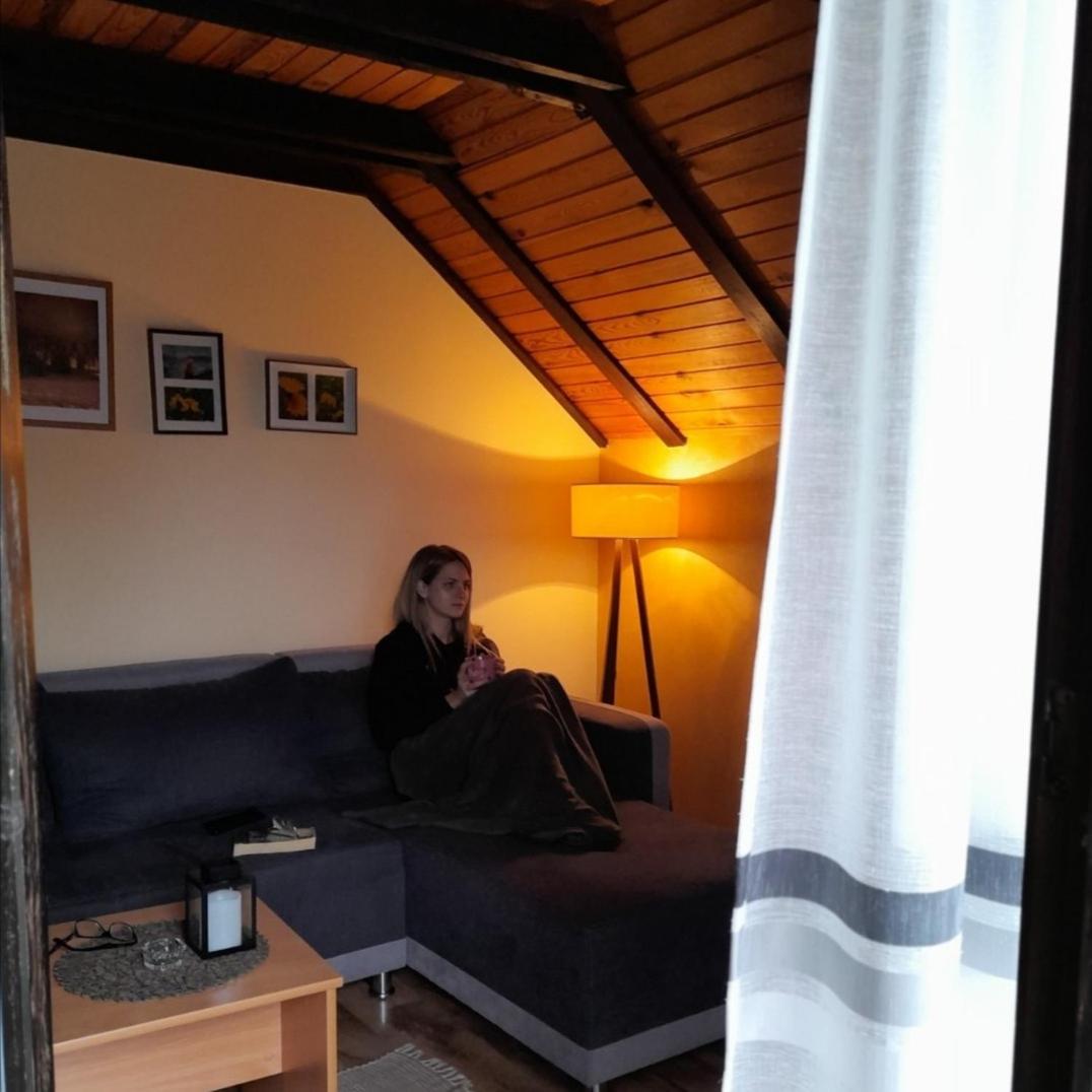 Apartment Tarski Konaci Mitrovac Room photo